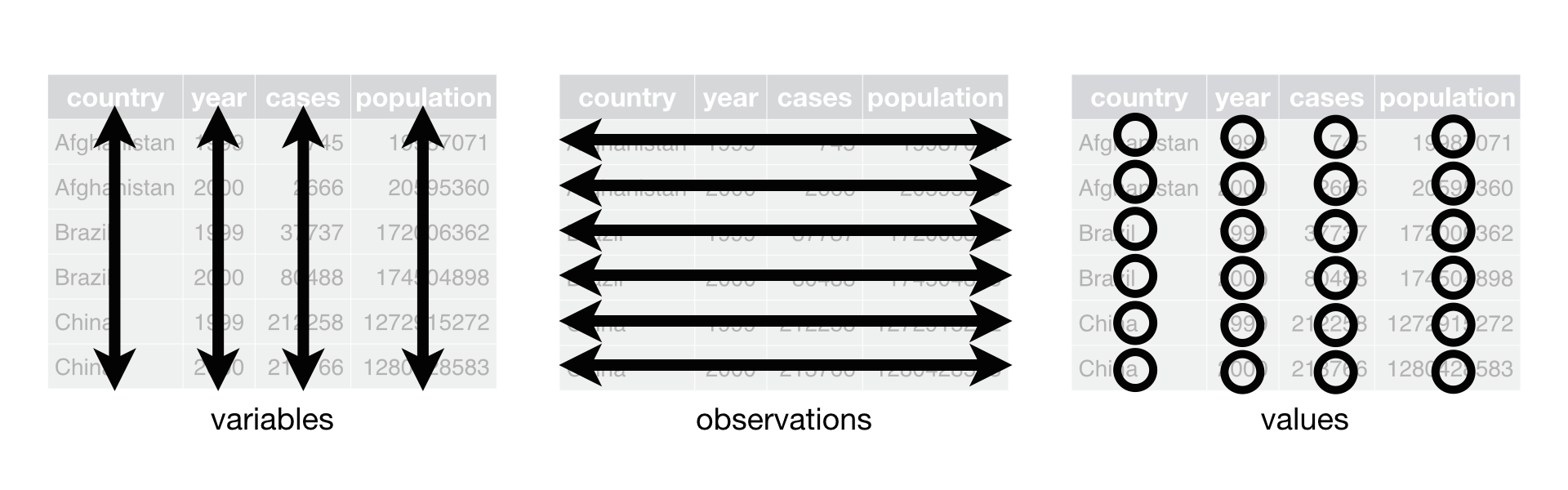 Rules for tidy data. Figure from [Wickham and Grolemund (2017)](https://r4ds.had.co.nz/tidy-data.html)